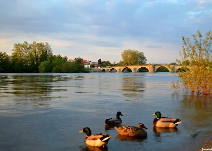 Bom Sucesso Hotel Vila de Prado